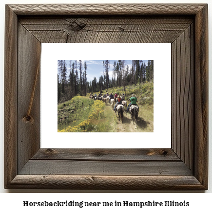 horseback riding near me in Hampshire, Illinois